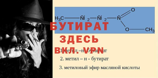 прущие грибы Новодвинск